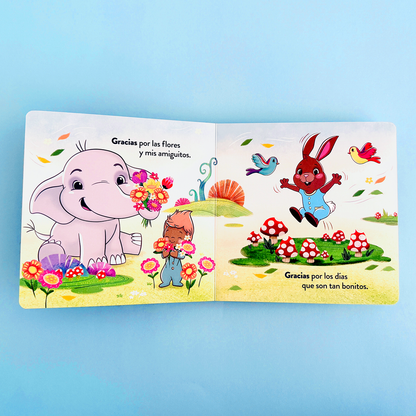 Thank you, Gracias: A Bilingual Lift-the-Flap Book