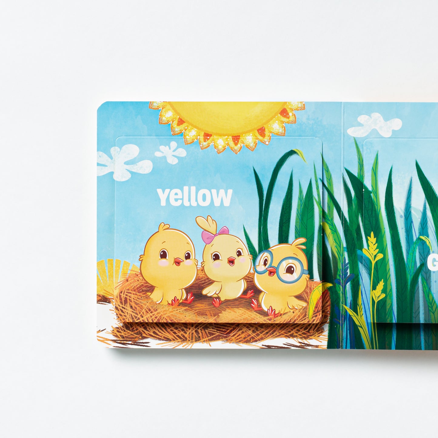 De Colores / All the Colors