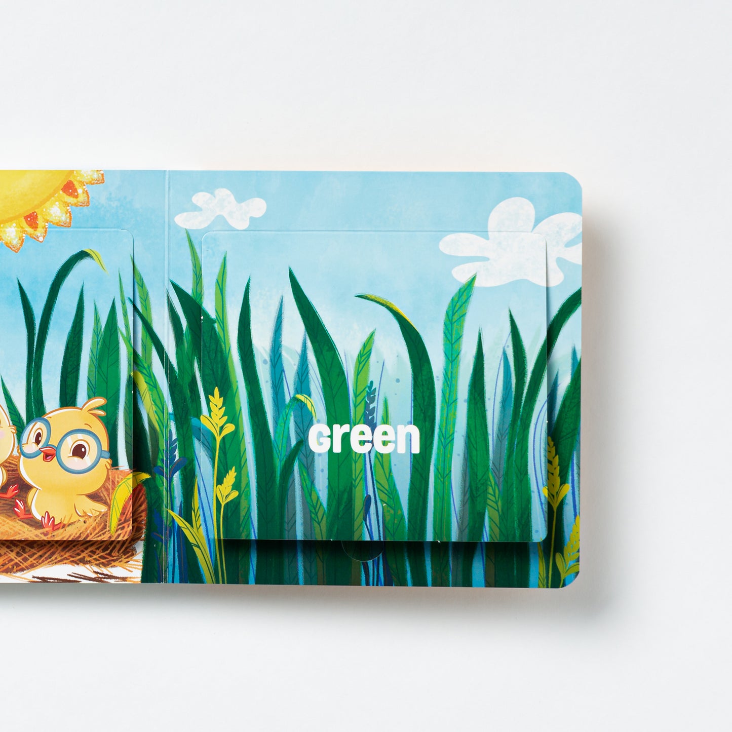 De Colores / All the Colors