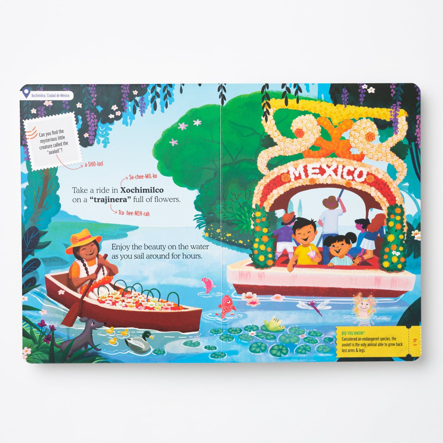 Mexico Treasure Quest Book