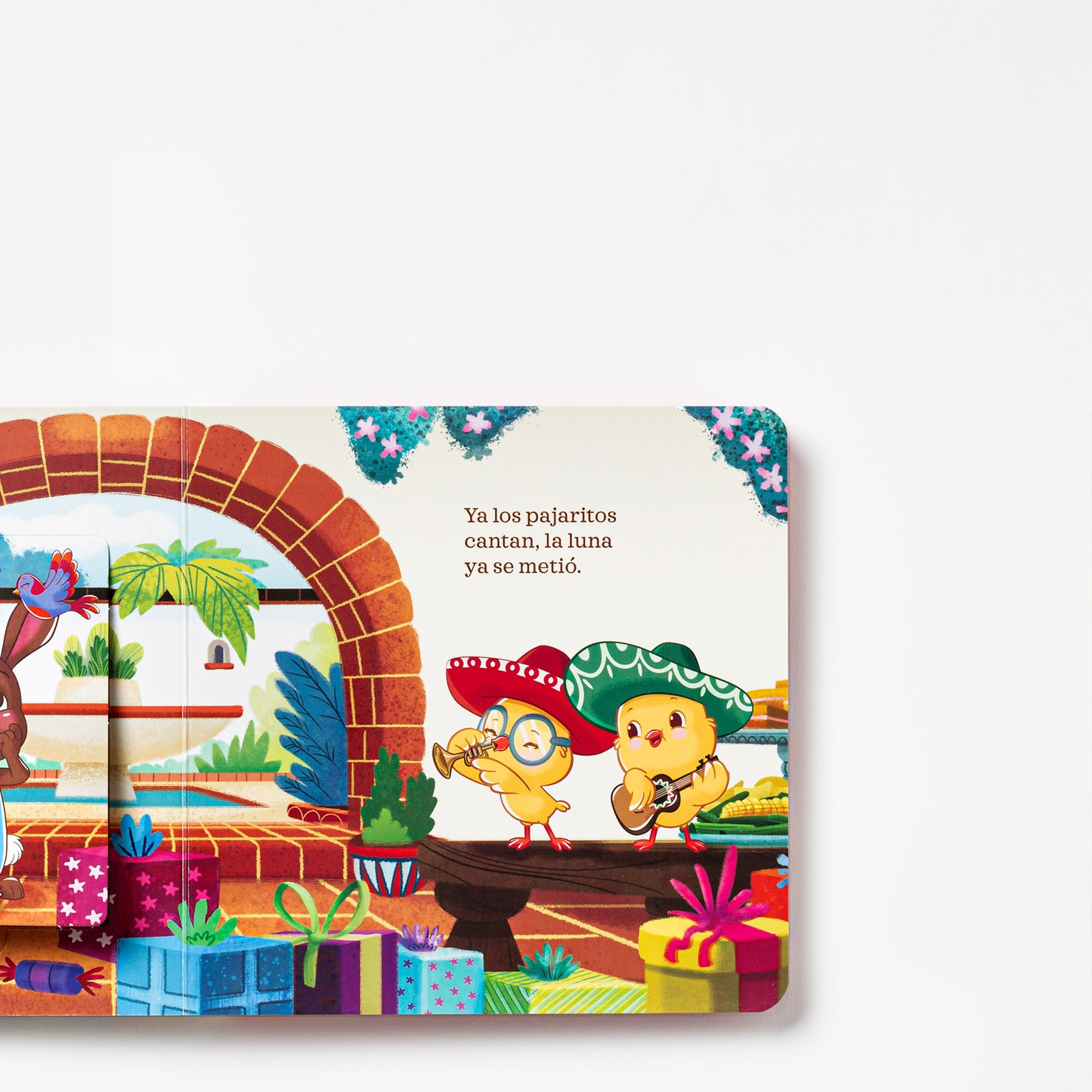 The Birthday Book / Las Mañanitas