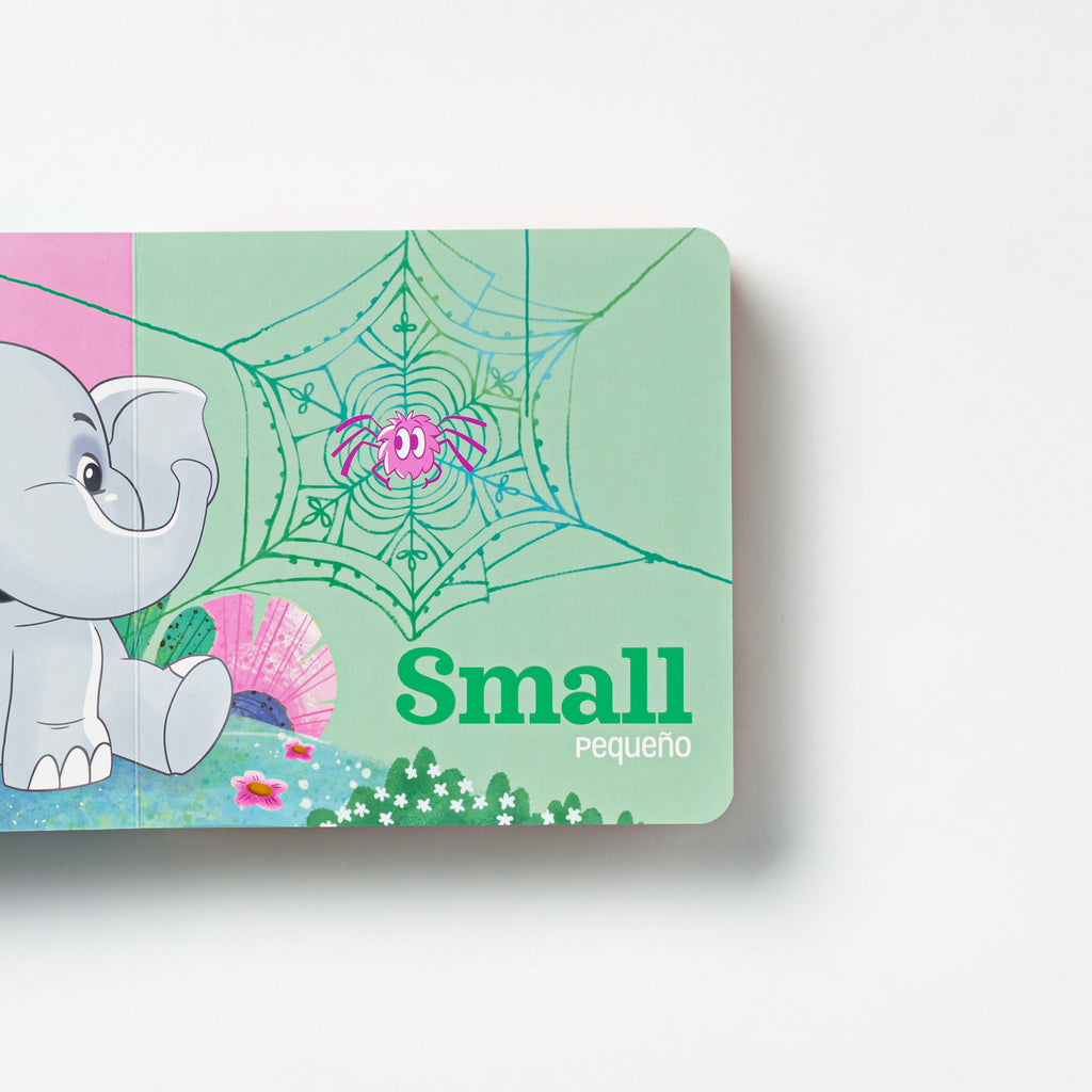 bilingual firsts board book