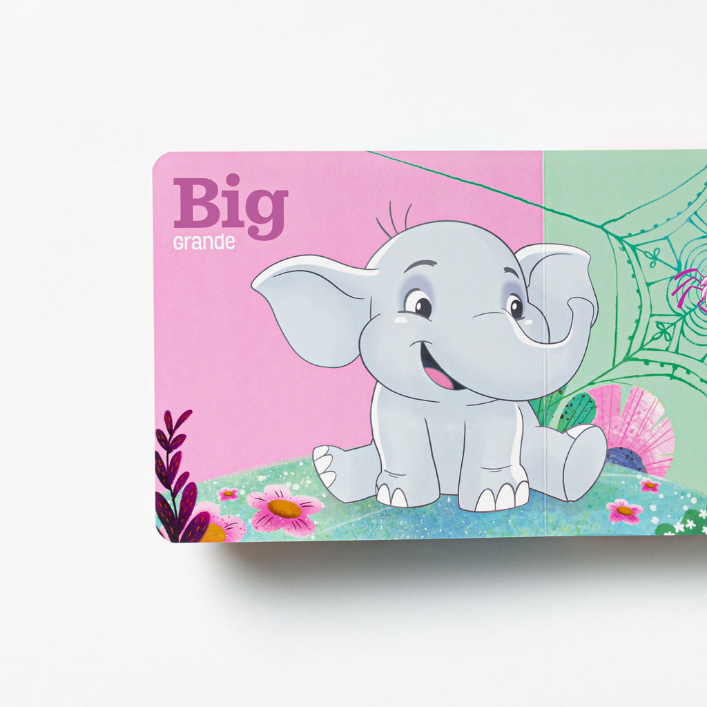 bilingual firsts board book